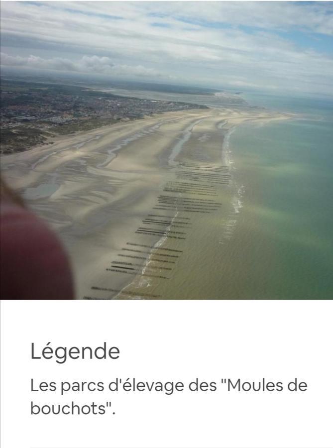 Mini Tarif Pour Un Maxi Confort Homestay Berck